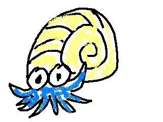 オムナイト