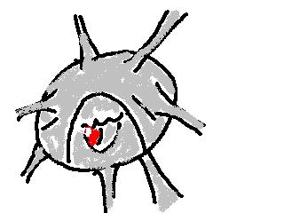 カラサリス