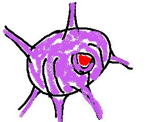 マユルド