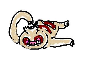 i}P