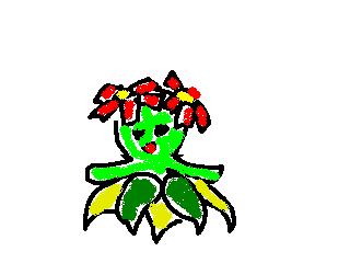キレイハナ